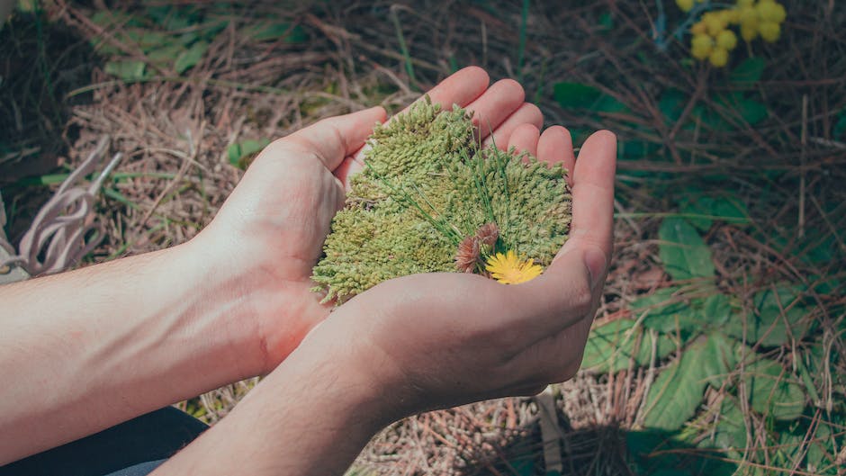 what is a community garden?