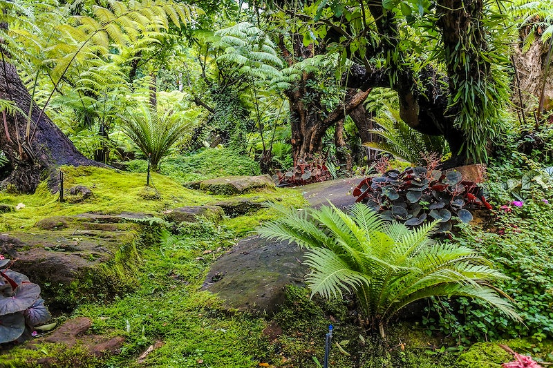 2. Breathing Life into Fantasy: Exploring⁢ the Wonders of Magical Garden Design