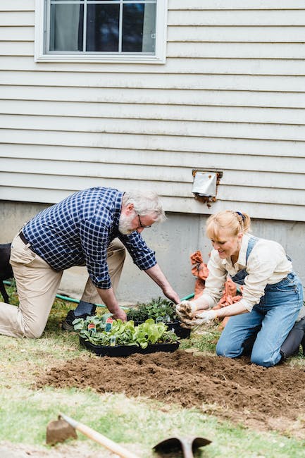 1. Unleash the Power of ​Nature with ​Sprout Bliss: Embrace the Organic Magic of Garden Spray!