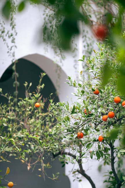 Glorious Harvests: Blissful Bounty of Organic Garden Veggies!