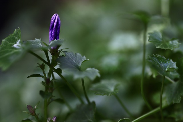 1. Sprout Some Joy: Embracing the​ Benefits of Organic Garden Pesticides