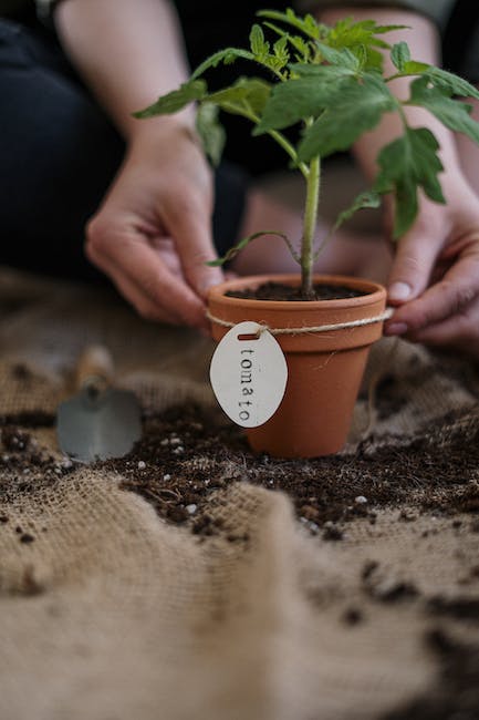 1. Bask in the Beauty of Nature's Bounty with Your Own Organic Garden!