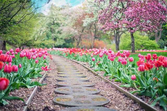 Blooming Beauties: A Guide to Garden Landscaping