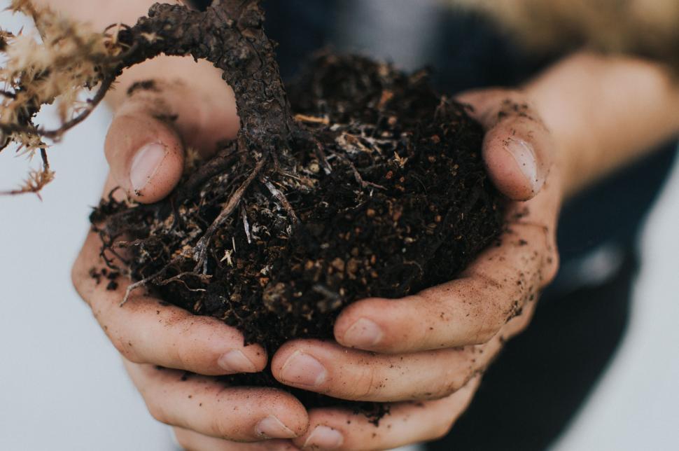 Growing Bliss: Nurturing Your Organic Garden Soil