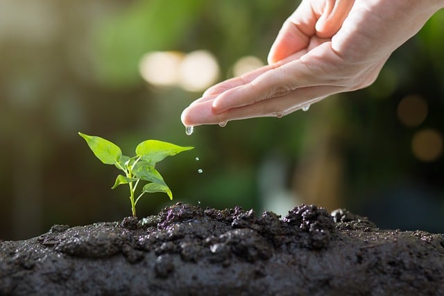 1. Cultivating Connections: How Community Gardens Bring Neighbors ⁢Together