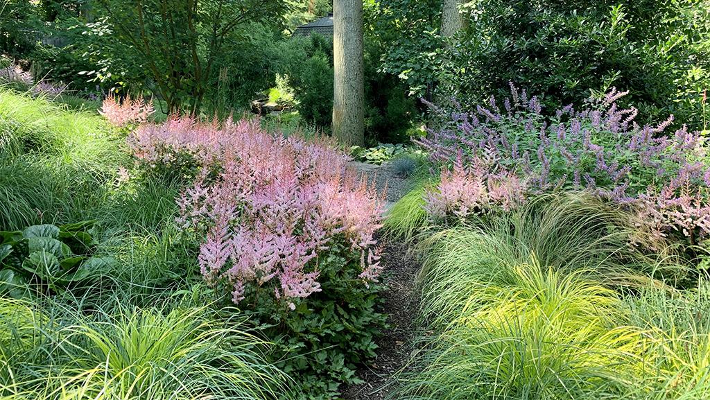 2. A⁢ Kaleidoscope of⁢ Blooms: How to Create a ⁢Colorful Oasis in Your Yard