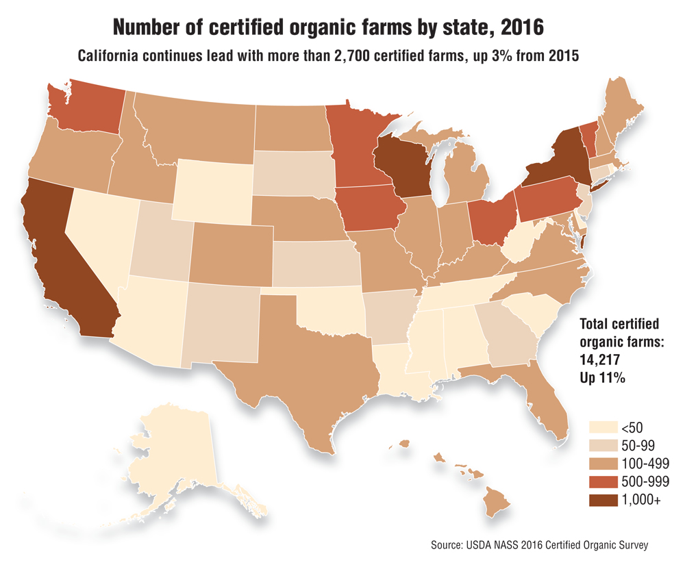 1. ​Transform Your ‍Garden with Nature's Secret Weapon: Organic Garden Compost!