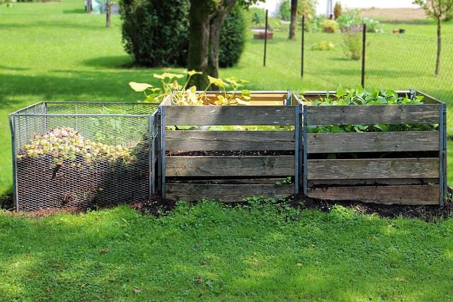 Composting Magic: Transform Your Garden with Organic Goodness