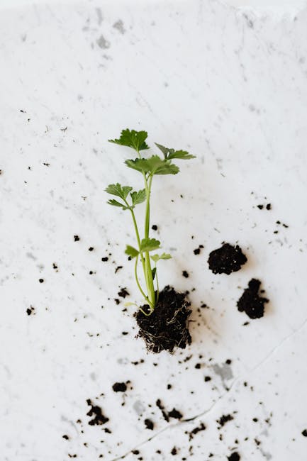 1. ​Planting the Seed: How to Start ‍Your Organic⁣ Garden ‍Journey