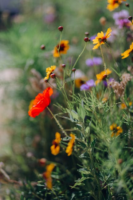 2. Blossoming Opportunities: How Community Gardens are Cultivating Prosperity