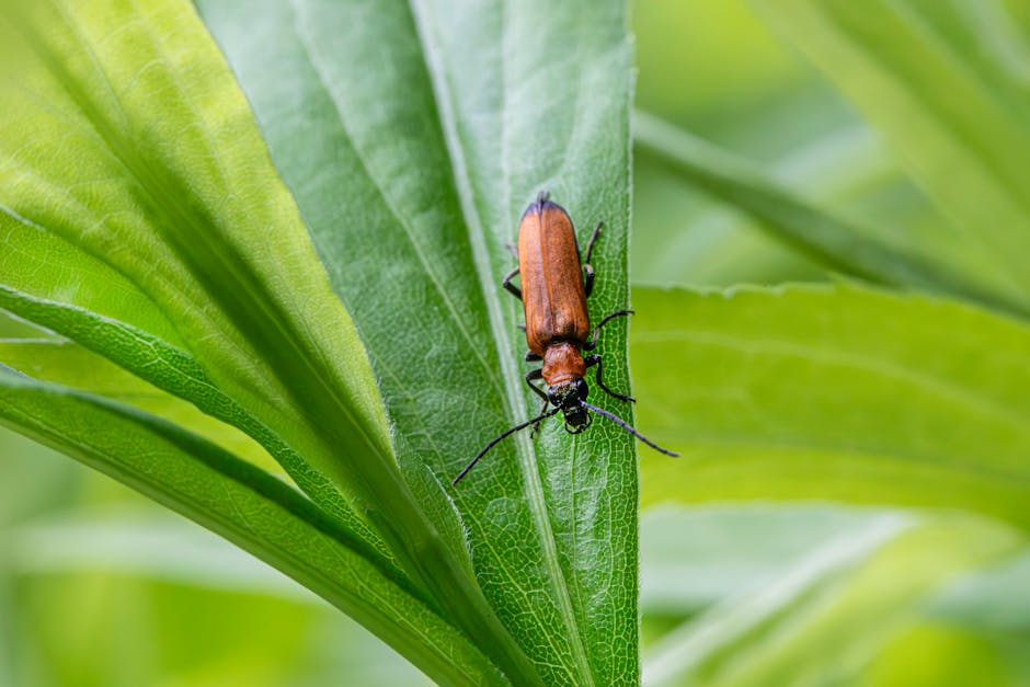 Buzz Off! Keep Your Garden Happy with Organic Bug Spray