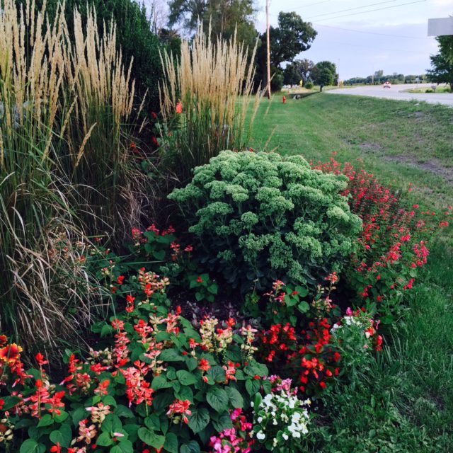 Green Thumb Goodness: Sprucing Up Your Garden with Organic Pesticides