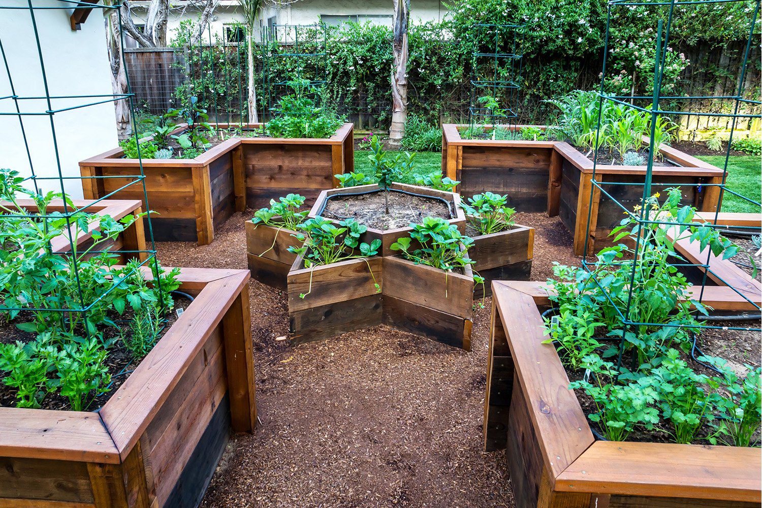 Raising the Bar: The Magic of Gardening in Raised Beds