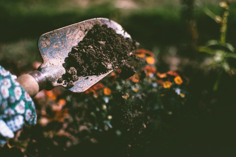 2. Planting the Seeds of Success: Tips ‍for Building Healthy Vegetable Soil