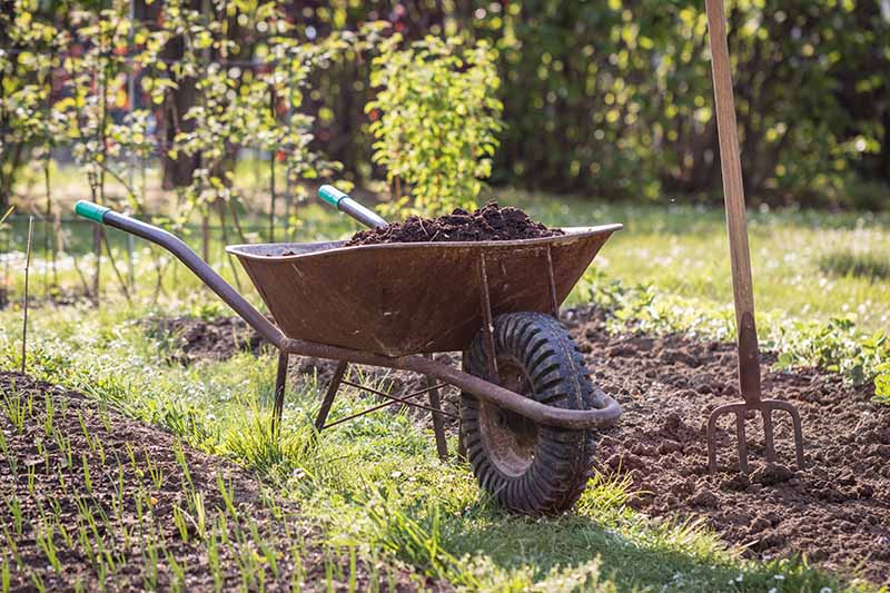 Dig into the Magic of Organic Garden Compost!