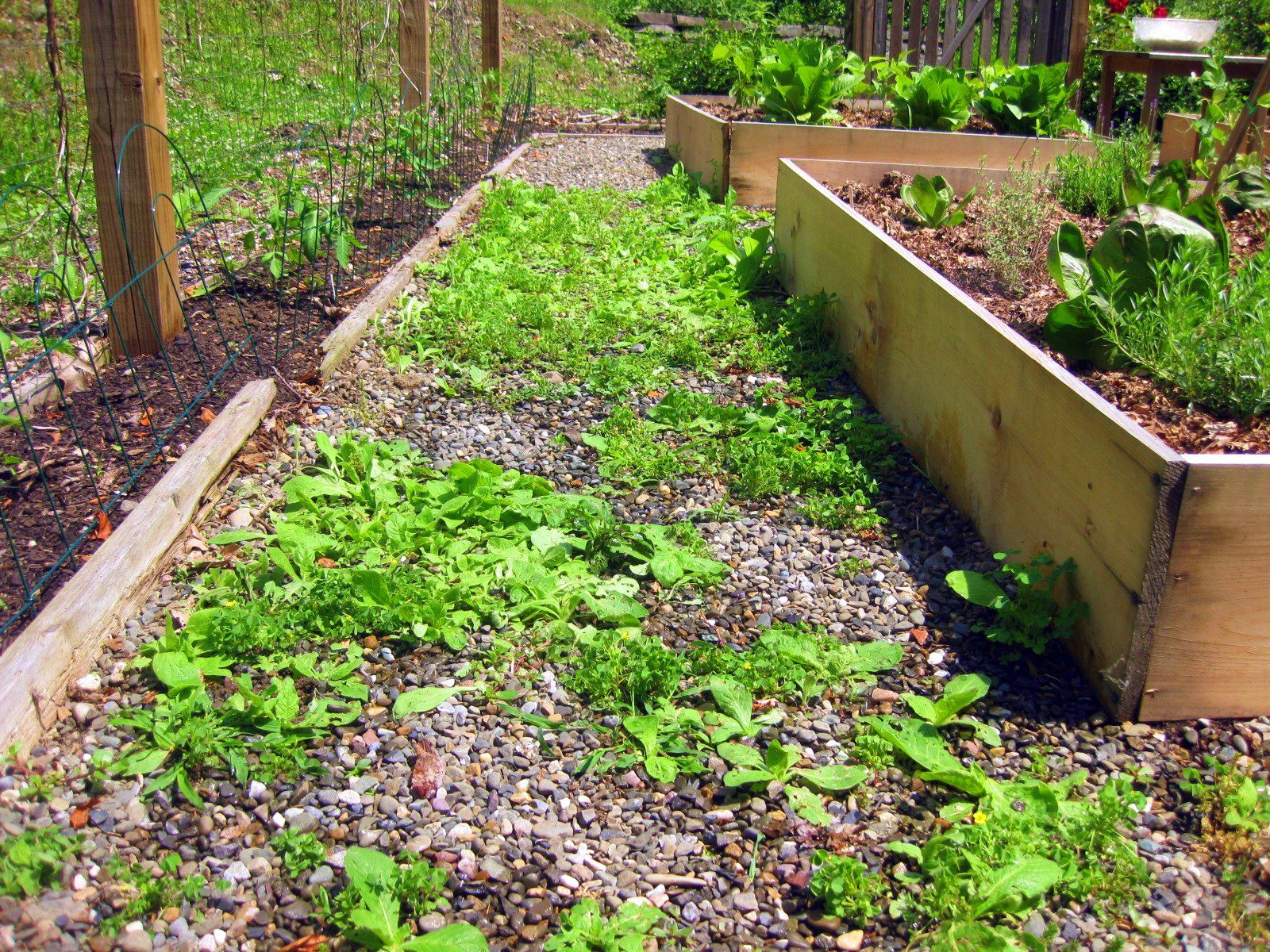 Spritz and Shine: The Magic of Organic Garden Spray