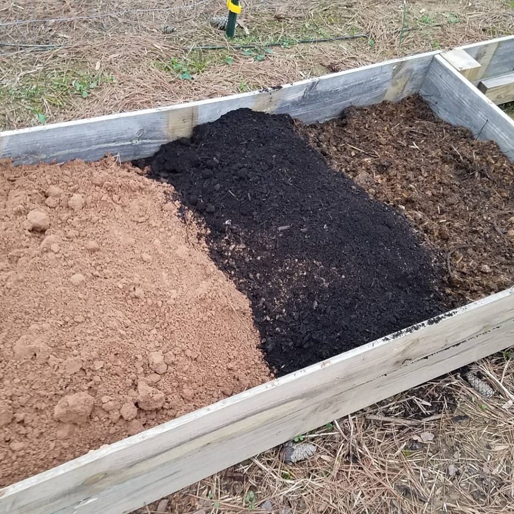 Sow Good: Cultivating Lush Organic Soil for Your Vegetable Garden