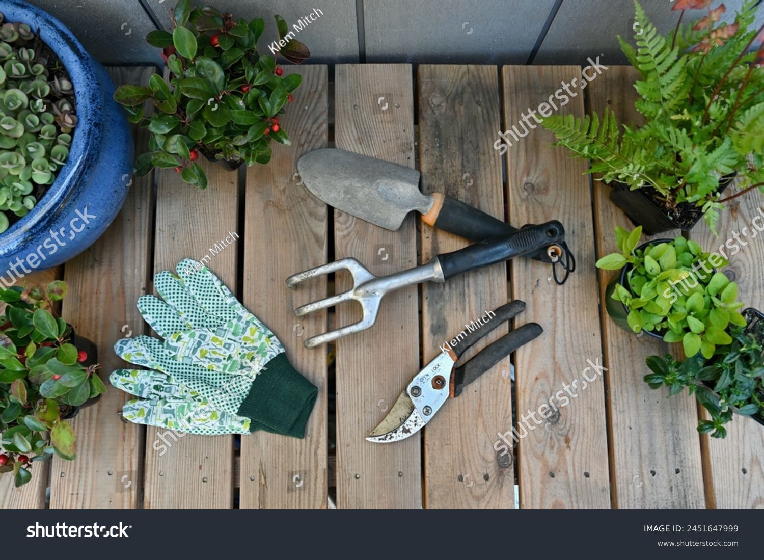 Digging into Spring: Essential Gardening Tools for a Blooming Season