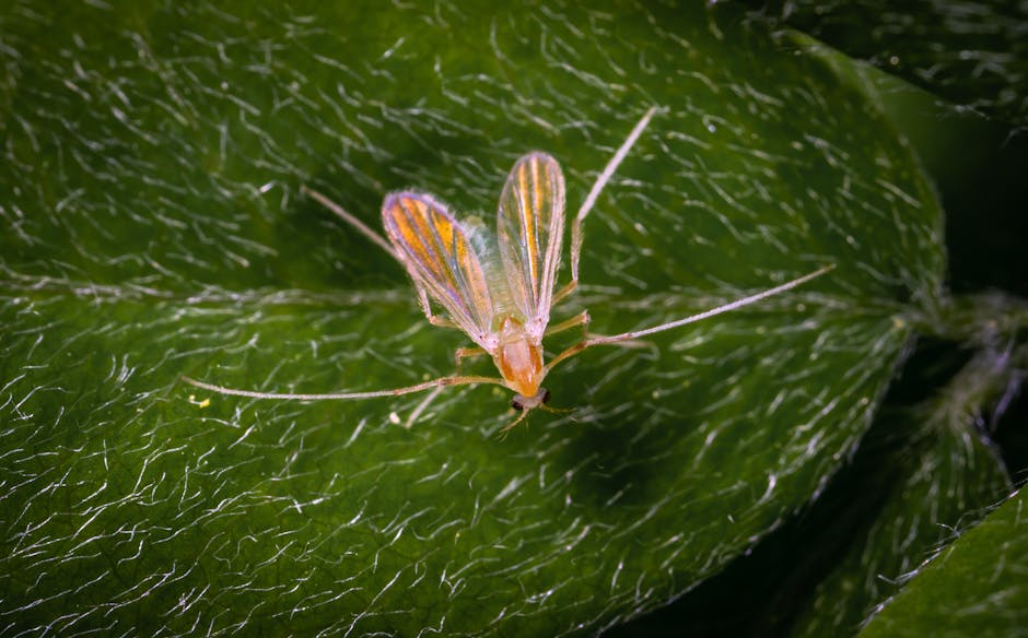 Buzz Off! Natural Bug Busting for Your Organic Garden