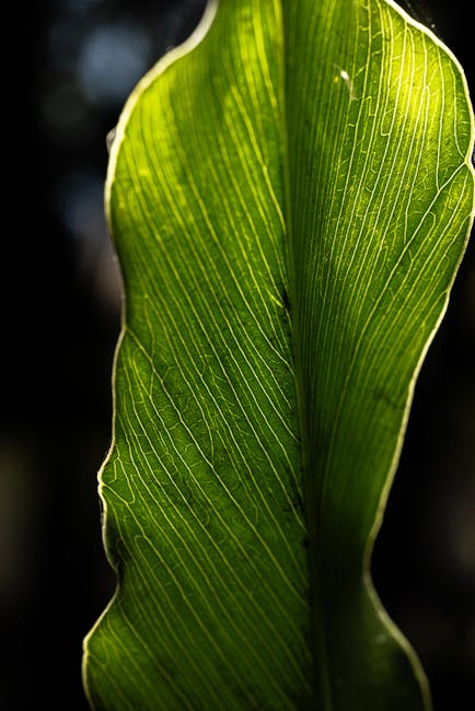 Buzz Off Bugs: The Sprightly Guide to Organic Garden Insecticide